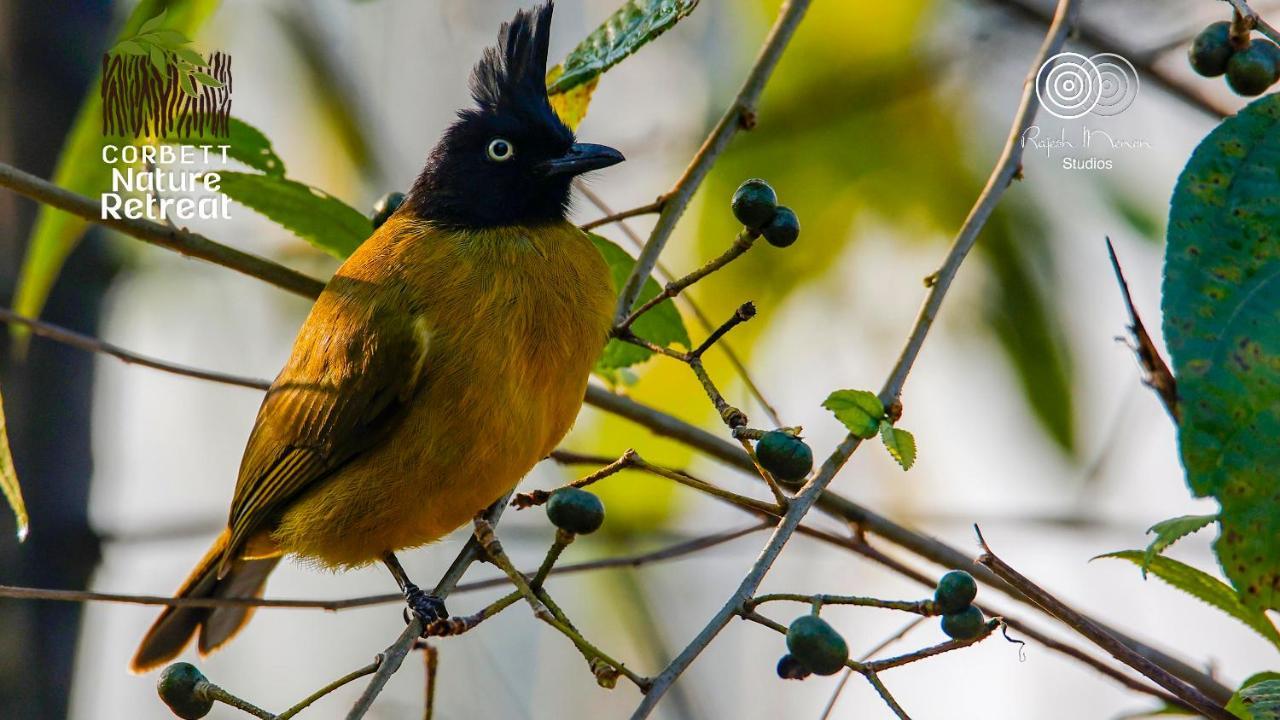 Corbett Nature Retreat รามนาการ์ ภายนอก รูปภาพ