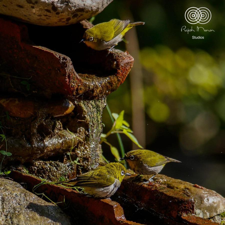 Corbett Nature Retreat รามนาการ์ ภายนอก รูปภาพ